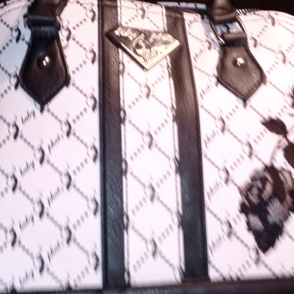 Baby phat purse